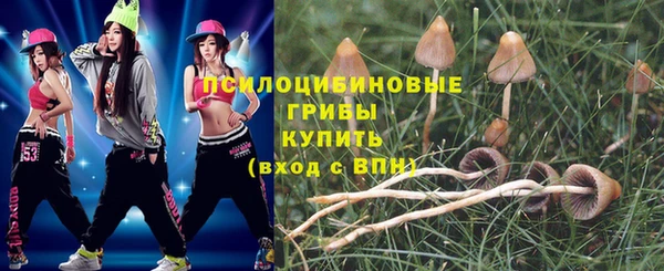 MDMA Premium VHQ Бородино